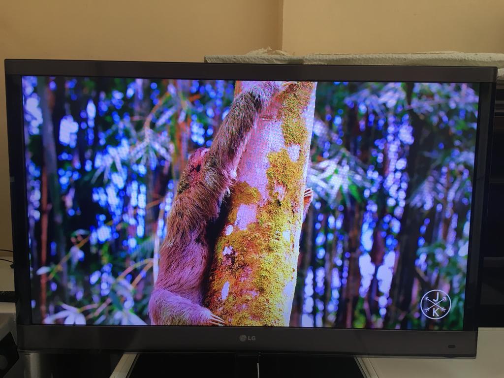 Televizyon 14 Televizyon